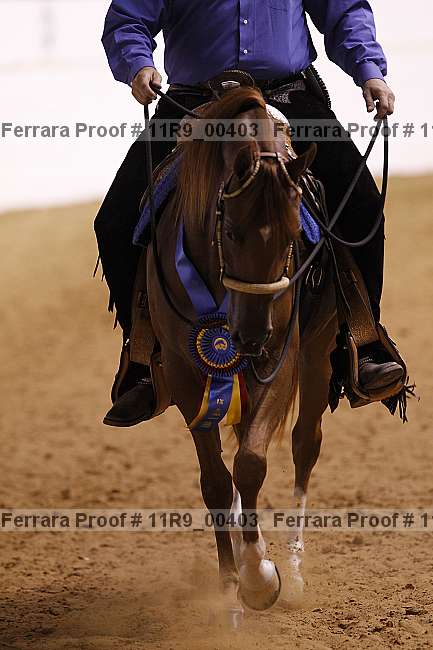 Proof Number 11r9_00403