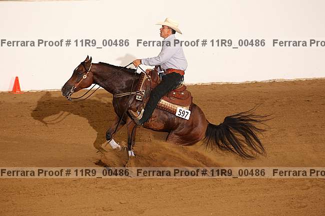 Proof Number 11r9_00486