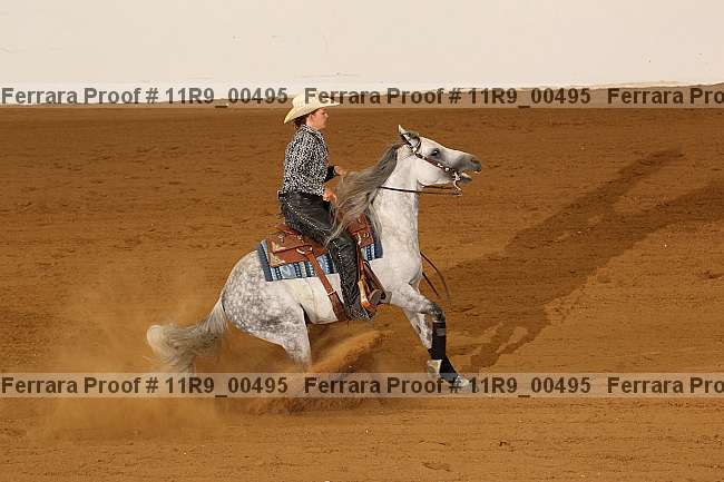 Proof Number 11r9_00495