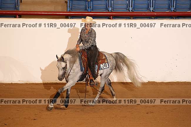 Proof Number 11r9_00497