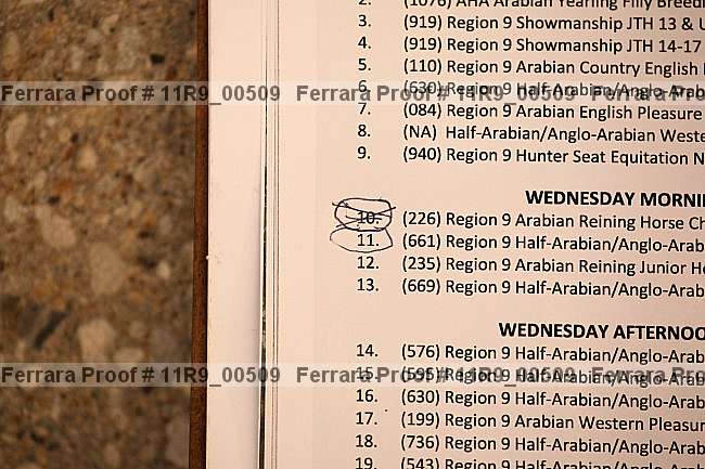 Proof Number 11r9_00509