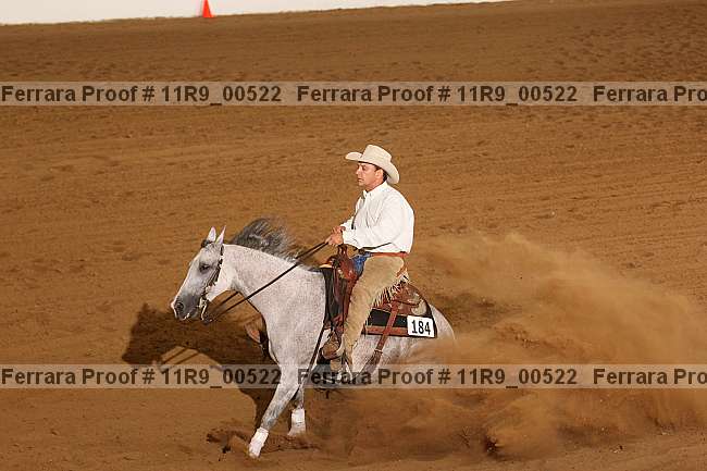 Proof Number 11r9_00522