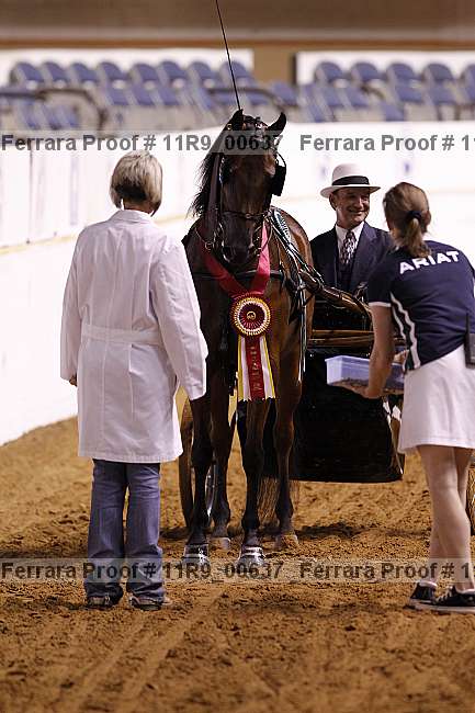Proof Number 11r9_00637