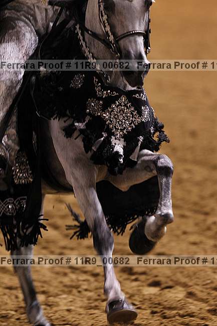 Proof Number 11r9_00682