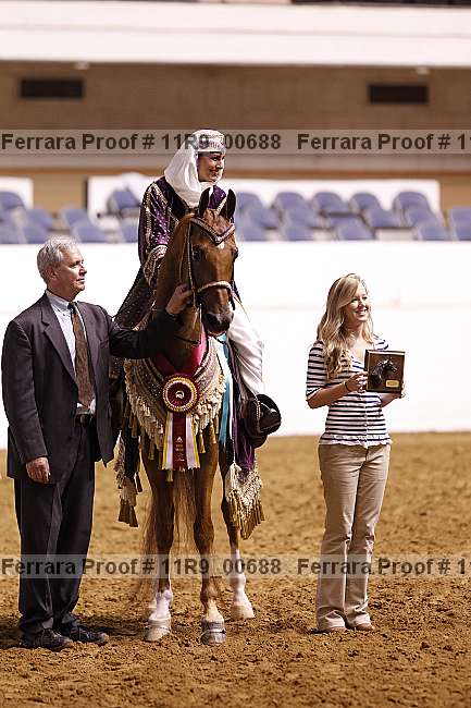 Proof Number 11r9_00688