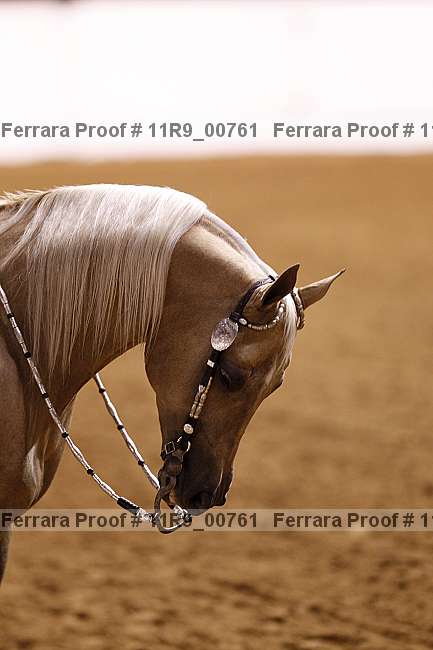 Proof Number 11r9_00761