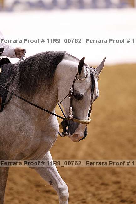 Proof Number 11r9_00762