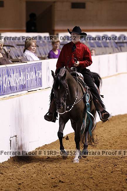 Proof Number 11r9_00852