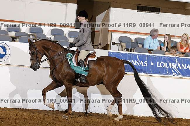 Proof Number 11r9_00941