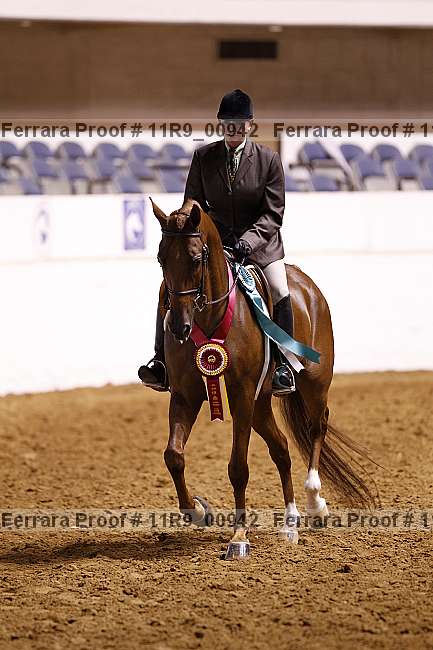 Proof Number 11r9_00942