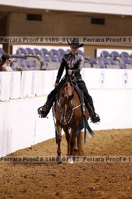 Proof Number 11r9_01123