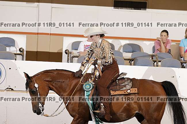 Proof Number 11r9_01141