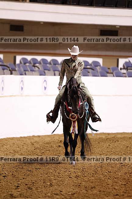 Proof Number 11r9_01144
