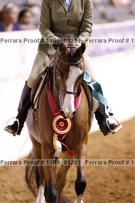Proof Number 11r9_01293