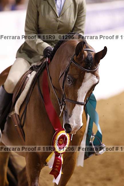 Proof Number 11r9_01296