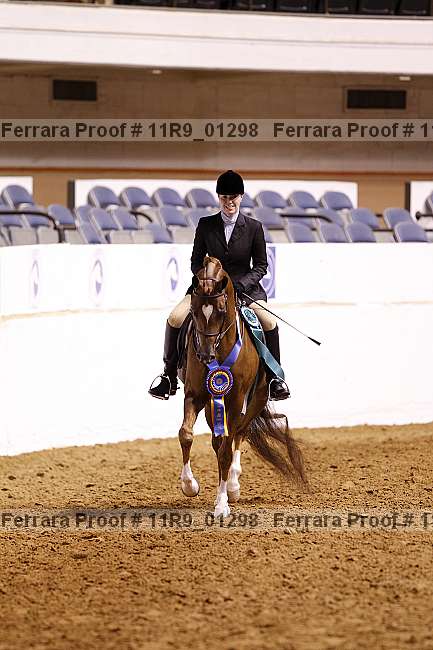 Proof Number 11r9_01298