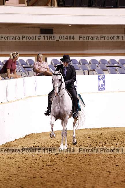 Proof Number 11r9_01484