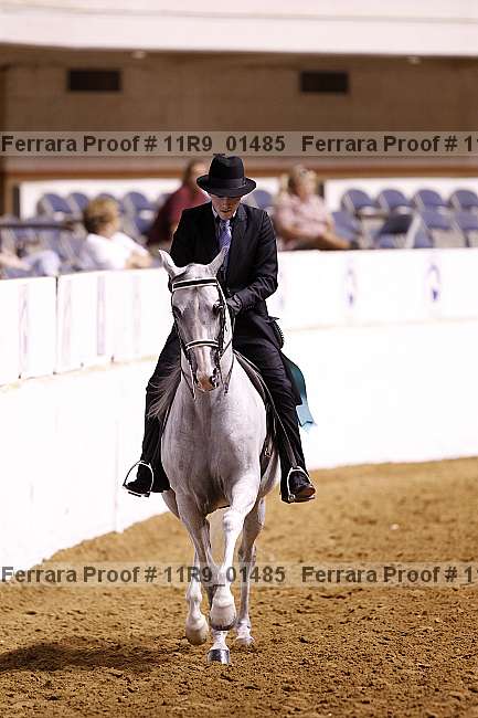 Proof Number 11r9_01485