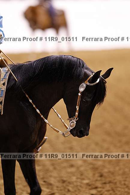 Proof Number 11r9_01511