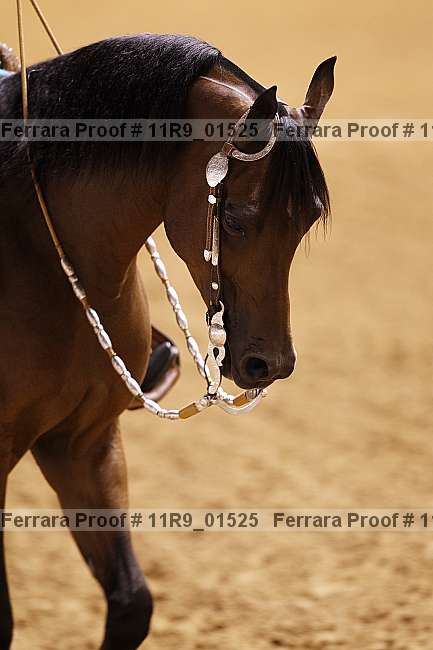 Proof Number 11r9_01525