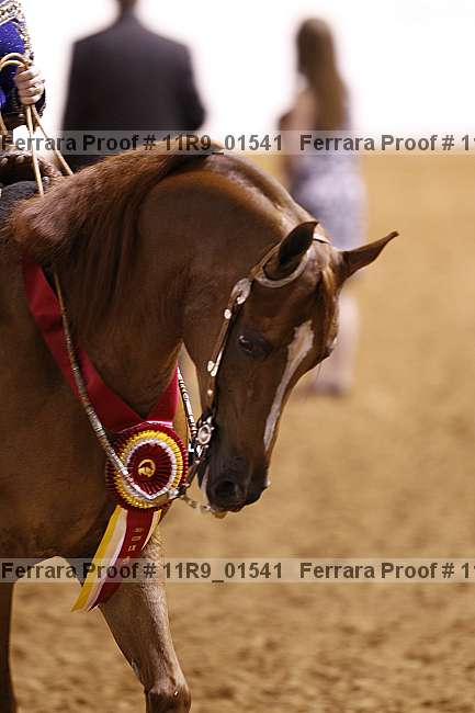 Proof Number 11r9_01541