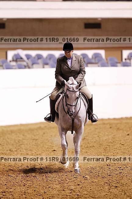 Proof Number 11r9_01669
