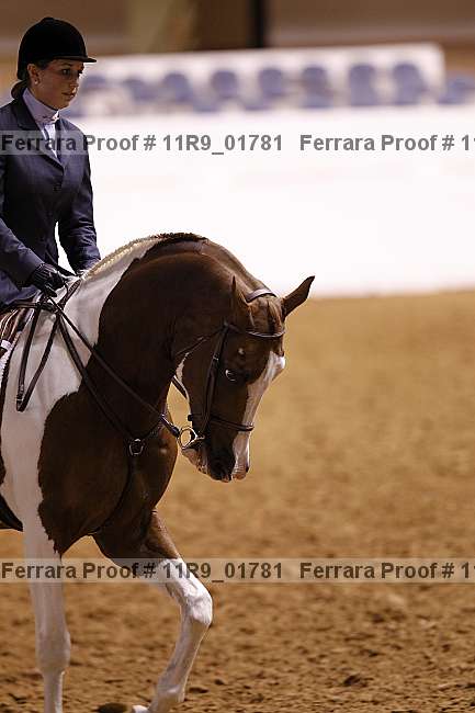 Proof Number 11r9_01781