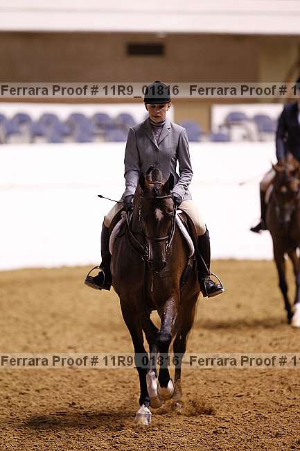 Proof Number 11r9_01816
