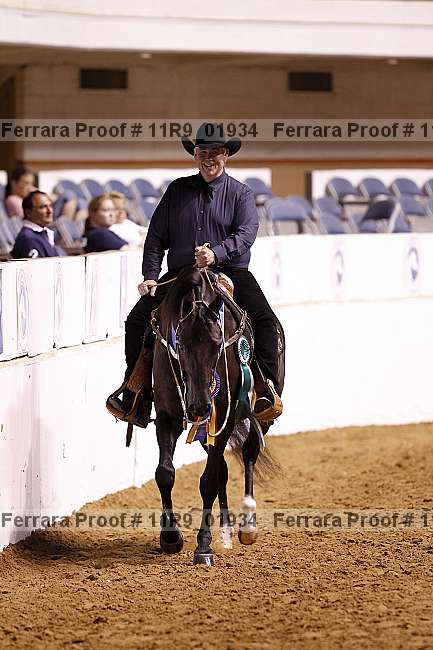 Proof Number 11r9_01934