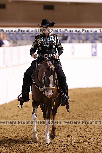 Proof Number 11r9_02046
