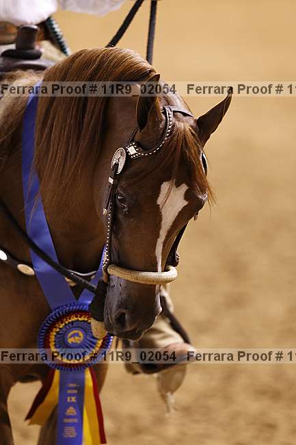 Proof Number 11r9_02054