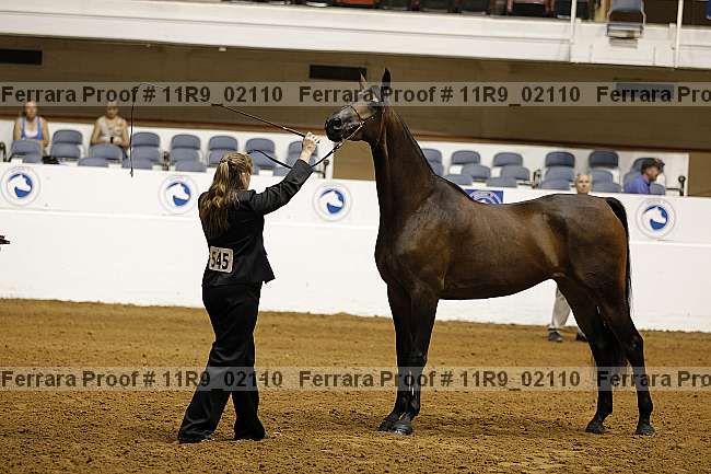Proof Number 11r9_02110