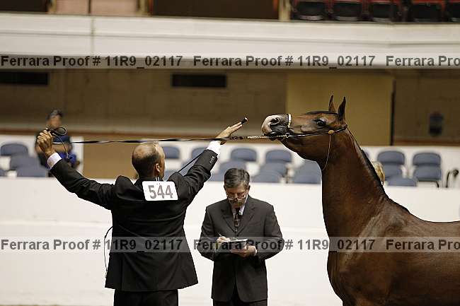 Proof Number 11r9_02117