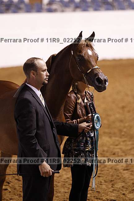 Proof Number 11r9_02252