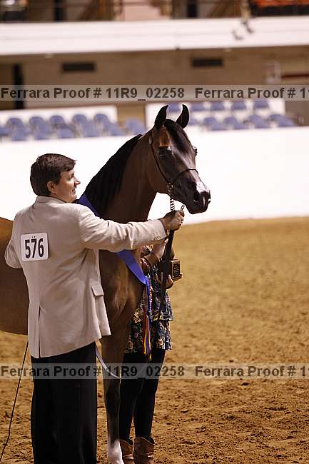 Proof Number 11r9_02258