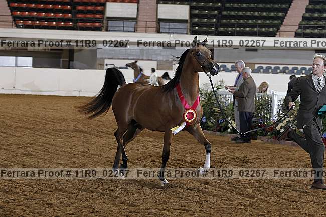 Proof Number 11r9_02267