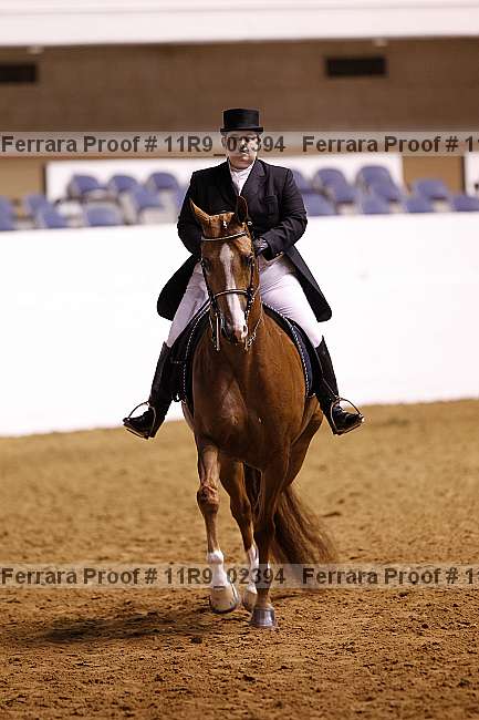 Proof Number 11r9_02394