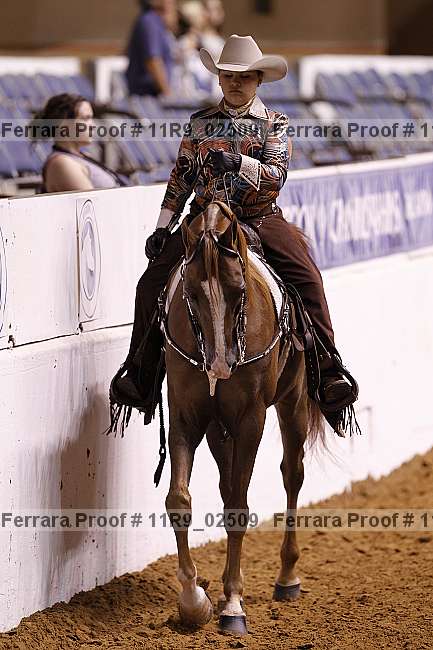 Proof Number 11r9_02509