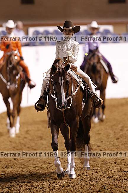 Proof Number 11r9_02511
