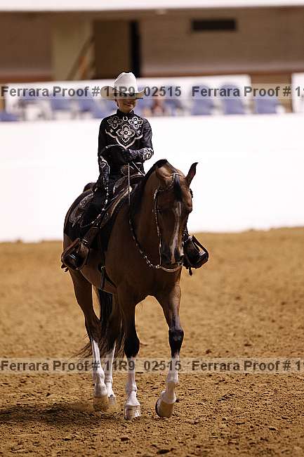 Proof Number 11r9_02515