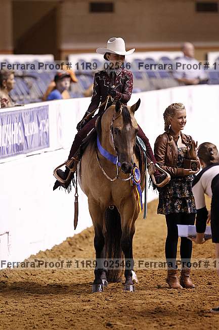 Proof Number 11r9_02546