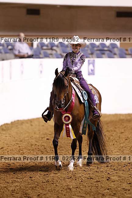 Proof Number 11r9_02562