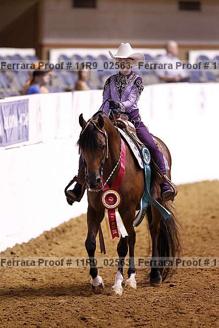Proof Number 11r9_02563