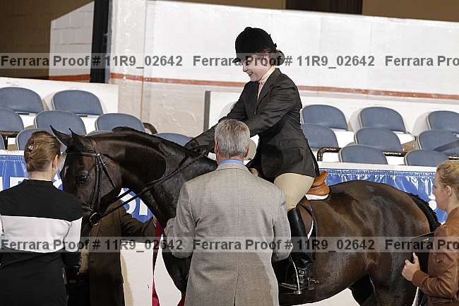 Proof Number 11r9_02642