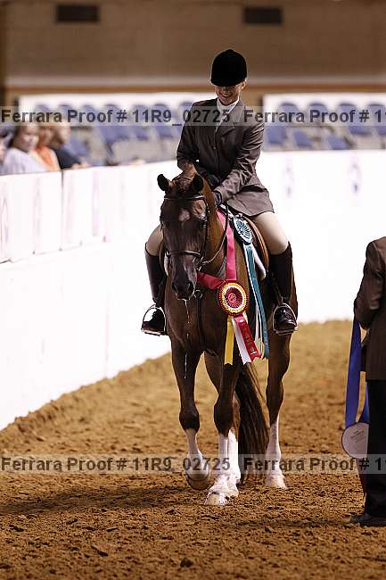 Proof Number 11r9_02725