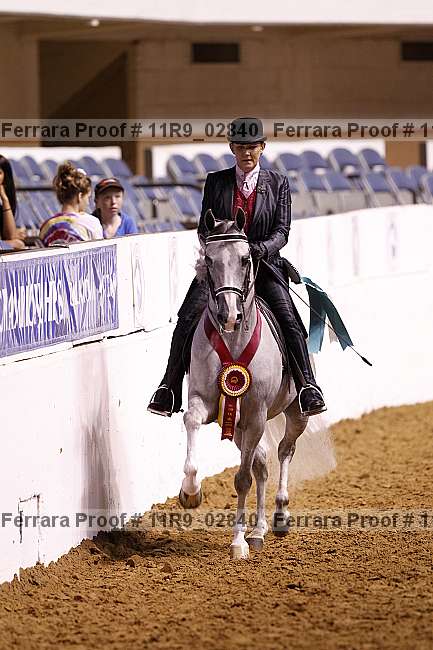 Proof Number 11r9_02840