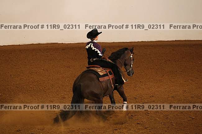 Proof Number 11r9_02311