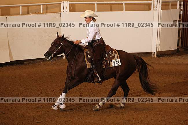 Proof Number 11r9_02345