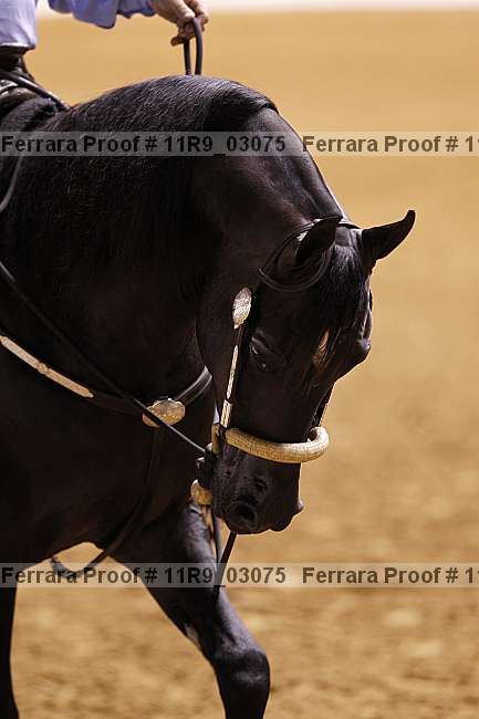 Proof Number 11r9_03075
