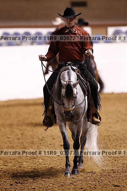 Proof Number 11r9_03077